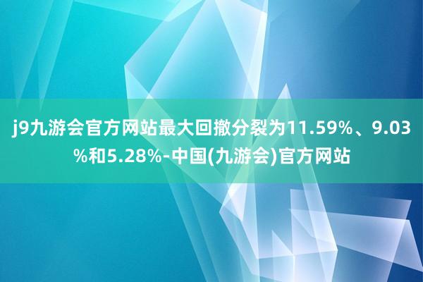 j9九游会官方网站最大回撤分裂为11.59%、9.03%和5.28%-中国(九游会)官方网站