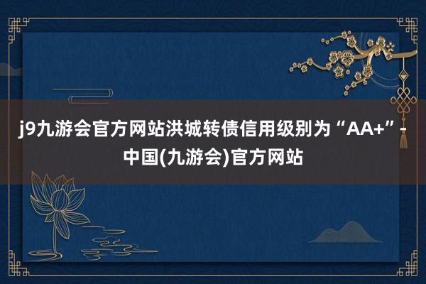 j9九游会官方网站洪城转债信用级别为“AA+”-中国(九游会)官方网站