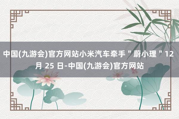 中国(九游会)官方网站小米汽车牵手＂蔚小理＂12 月 25 日-中国(九游会)官方网站