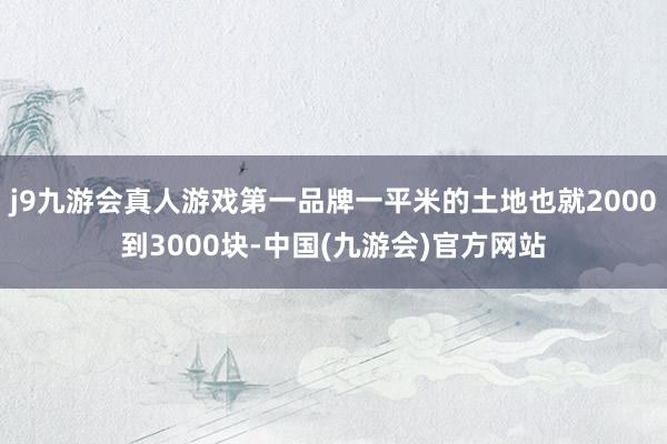 j9九游会真人游戏第一品牌一平米的土地也就2000到3000块-中国(九游会)官方网站