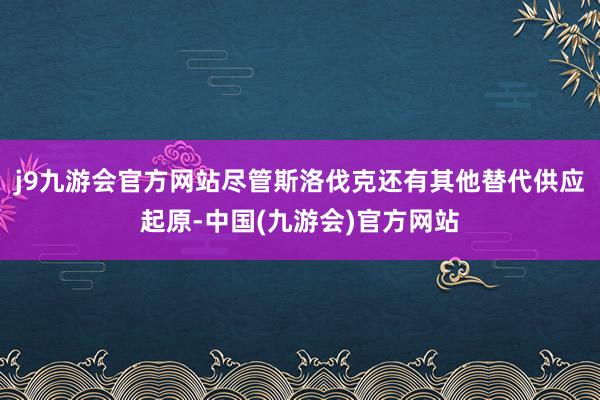 j9九游会官方网站尽管斯洛伐克还有其他替代供应起原-中国(九游会)官方网站